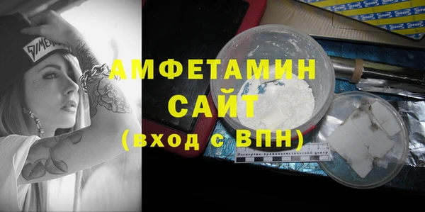 шишки Горняк