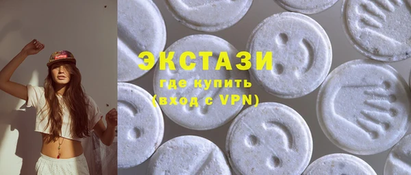 шишки Горняк