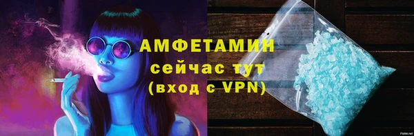 шишки Горняк