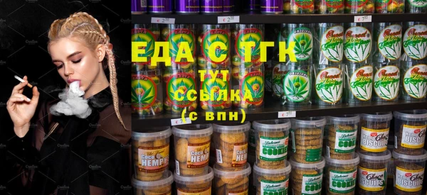 шишки Горняк