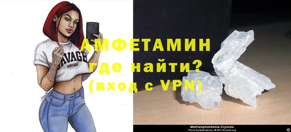 шишки Горняк