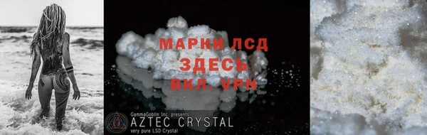 шишки Горняк