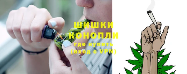 дмт Горнозаводск