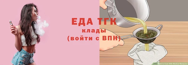 шишки Горняк