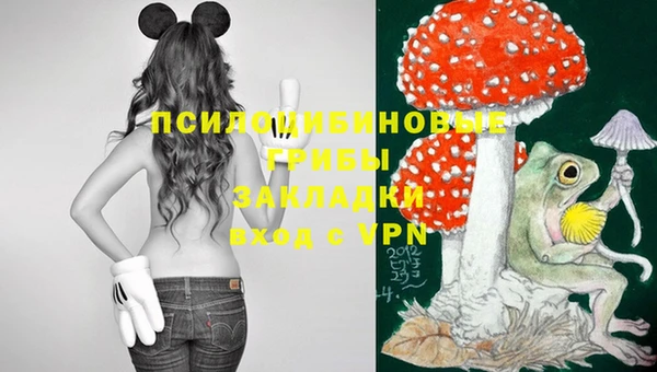 шишки Горняк