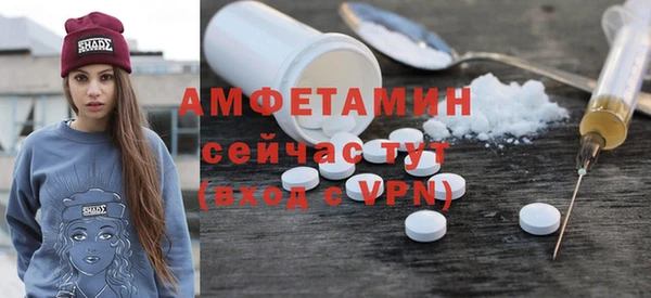шишки Горняк